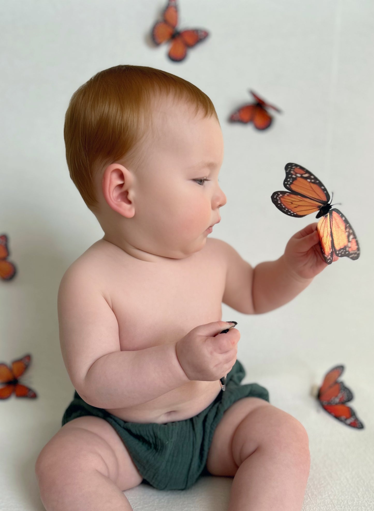 Pink  Butterfly background kit
