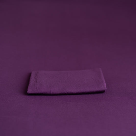 Dark Purple Backdrop and swaddle