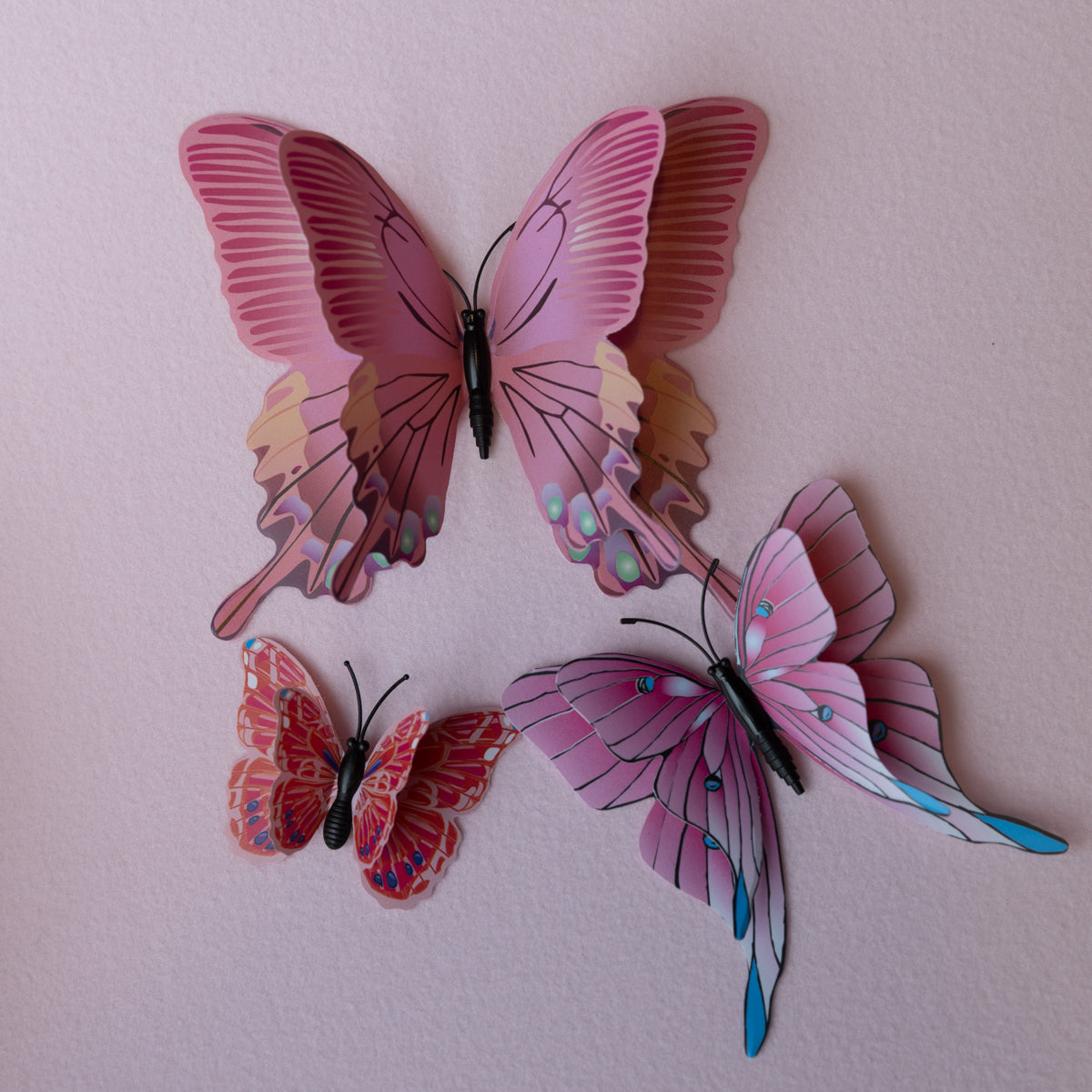 Pink  Butterfly background kit