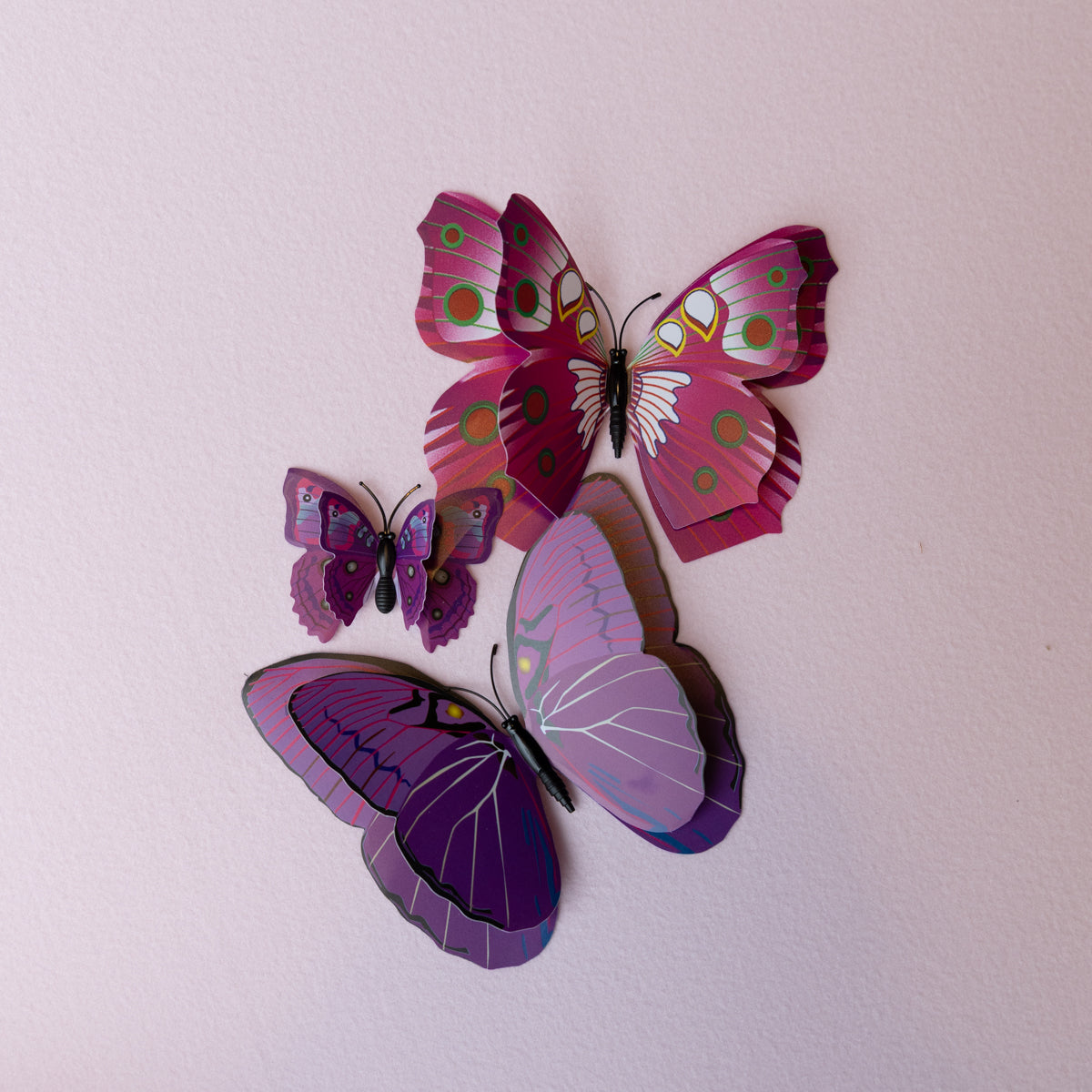 Pink and Purple  Butterfly background kit