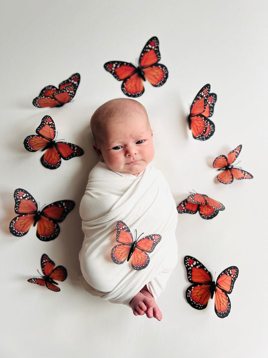 Orange Butterfly background kit